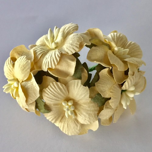 פרחי נייר - פריחת התפוח - בז'